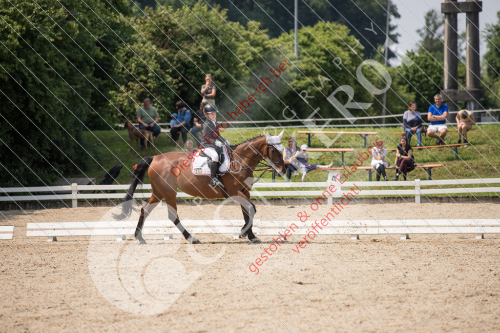 IMG_3521 | Sport-, Event- und Tierfotos in Profiqualität. Einfach auswählen, bestellen und herunterladen. Dein Moment – perfekt festgehalten.