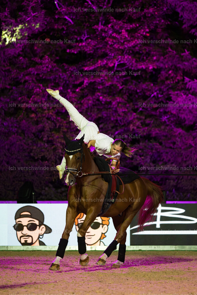 Gala-277 | working equitationturnier fotograf videograf stoibphotography marixx film working equitation deutschland reitsport turnierfotografie eventfotografie equestrian events