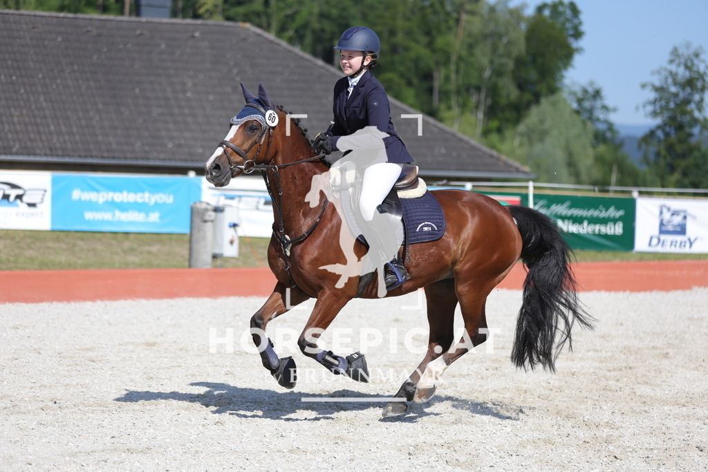 0P6A7561 | Willkommen bei Brunnmayr - Design & Fotografie – Ihrem Spezialisten für Reitturniere und Pferdeveranstaltungen in Oberösterreich, Salzburg und Bayern! Seit über 17 Jahren sind wir leidenschaftlich dabei.