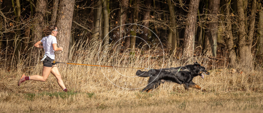 DV3A3688 | Hundefotografie, Tierfotograf, Pfotenfotografie, Fotoshooting Hund, Hunde Portrait, Hundesport, Hundeportraits, Heideshooting, Hunde, Sportfotograf, Hundefotograf, Turnierhundsport, THS,  - Realisiert mit Pictrs.com