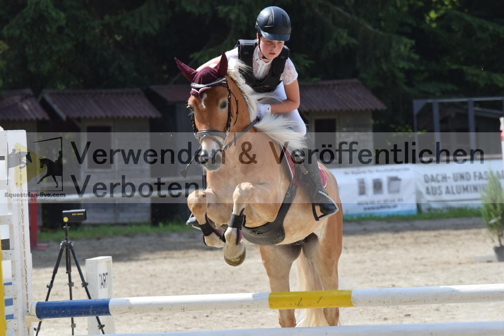 DSC_0016 | equestrian-live-com