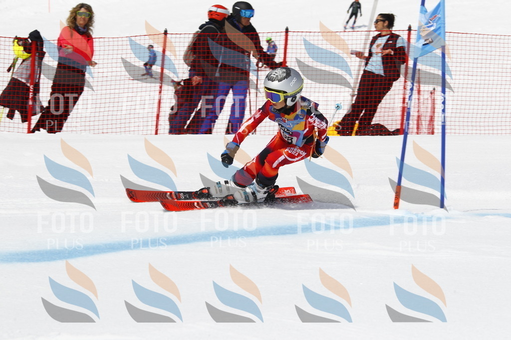 _U3G5170 | holidayphoto