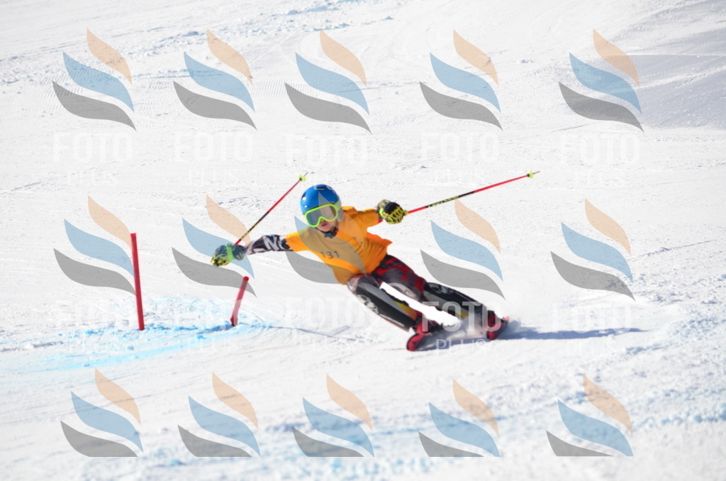 C6440 | holidayphoto