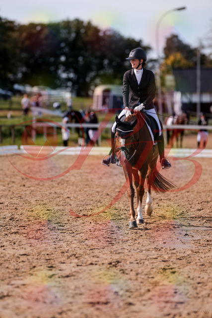 2026_10_03_Siefer-Hof_133319_Z81_92001341 | Professionelle Reitsport-, Turnier- und Eventfotografie von Robert Broda. Galerien mit ausgewählten und bearbeiteten Bildern direkt online ansehen und bestellen.