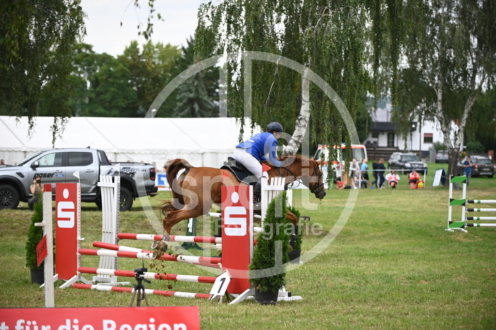 DSC_2534 | sattelsport - Realisiert mit Pictrs.com