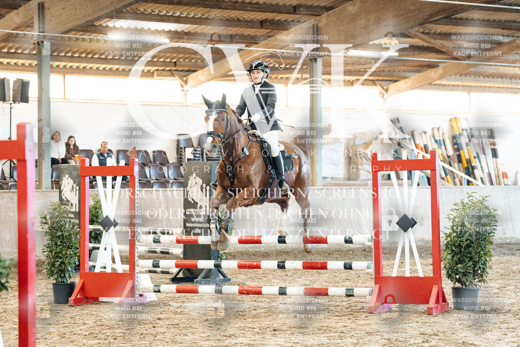 CK904114 | Turnierfotografie Pferdefotografie Trier Rheinland-Pfalz Pferdesport Reitsport Tierfotografie Sportfotografie Pferdevideo Pferdevideografie Equestrianvideography equestrianphotography  - Realisiert mit Pictrs.com