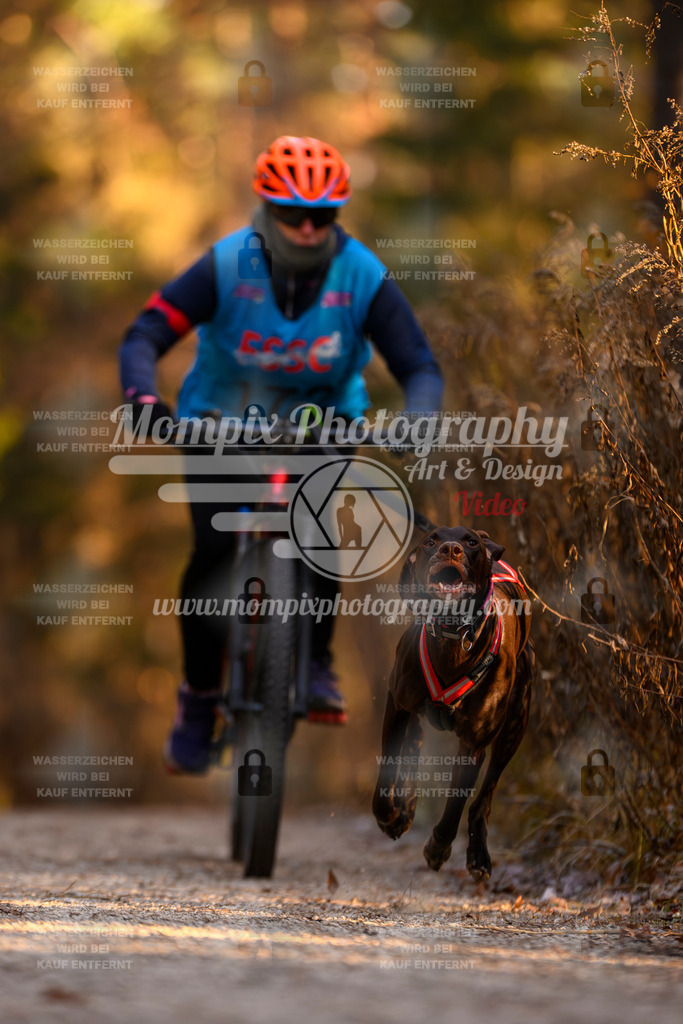MompixPhotography_DM_AKDM_SO_2025_Bike-131 | PayLife