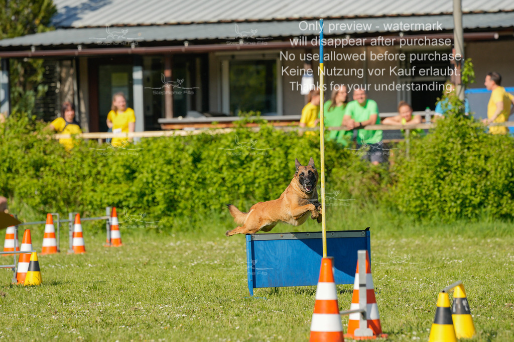 Sa_CSC-351 | stephaniefillaphotographie - Realisiert mit Pictrs.com