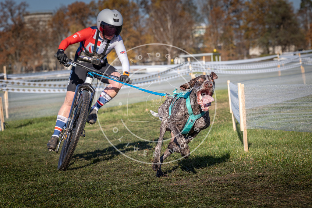 CaniXpix_0L8A4785 | Hundefotografie, Tierfotograf, Pfotenfotografie, Fotoshooting Hund, Hunde Portrait, Hundesport, Hundeportraits, Heideshooting, Hunde, Sportfotograf, Hundefotograf, Turnierhundsport, THS,  - Realisiert mit Pictrs.com