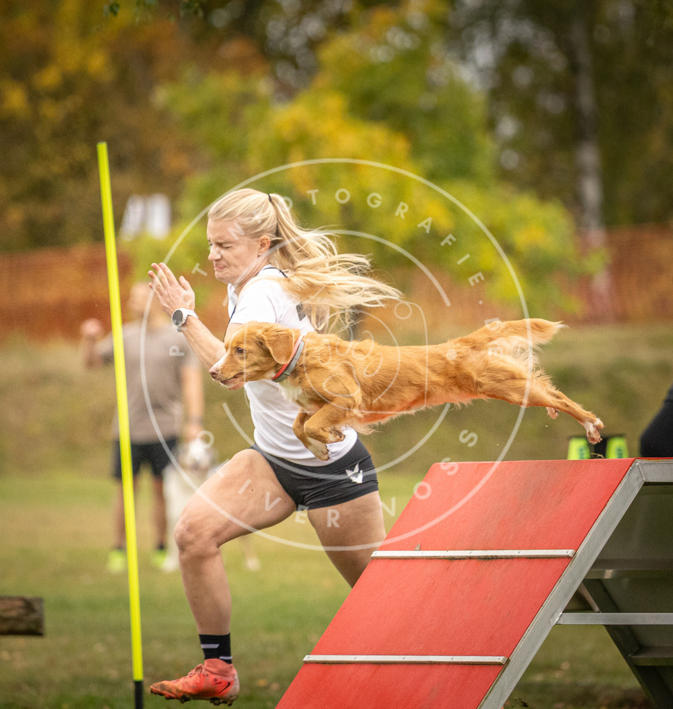 Pfotenfotografie_DV3A7408 | Hundefotografie, Tierfotograf, Pfotenfotografie, Fotoshooting Hund, Hunde Portrait, Hundesport, Hundeportraits, Heideshooting, Hunde, Sportfotograf, Hundefotograf, Turnierhundsport, THS,  - Realisiert mit Pictrs.com