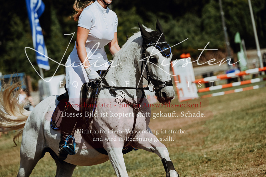 DSC_9601 | Pferde- und Turnierfotografie in Westsachsen. Pferdeportraits, Auftragszeichnungen und intuitive Kunst.
