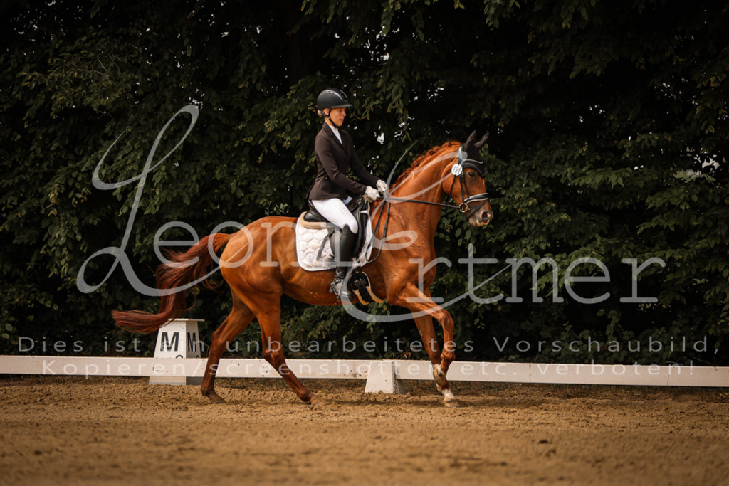 15.SaDrL00117 | Leoni Ertmer Photography - Realisiert mit Pictrs.com