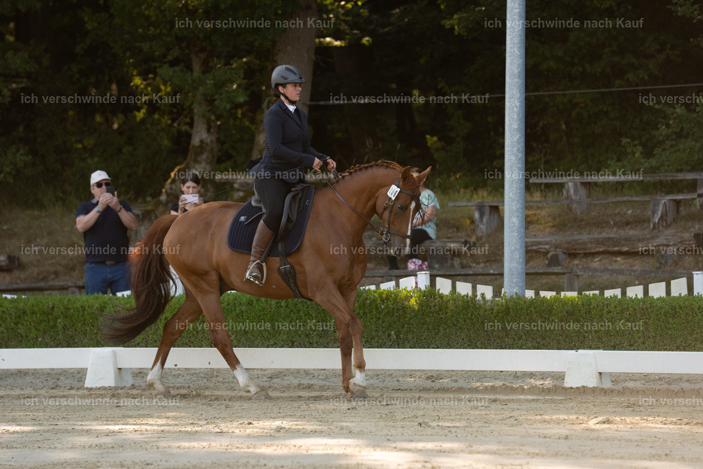 WA_DR_64_SinaFilmArt_IN00070 | working equitationturnier fotograf videograf stoibphotography marixx film working equitation deutschland reitsport turnierfotografie eventfotografie equestrian events