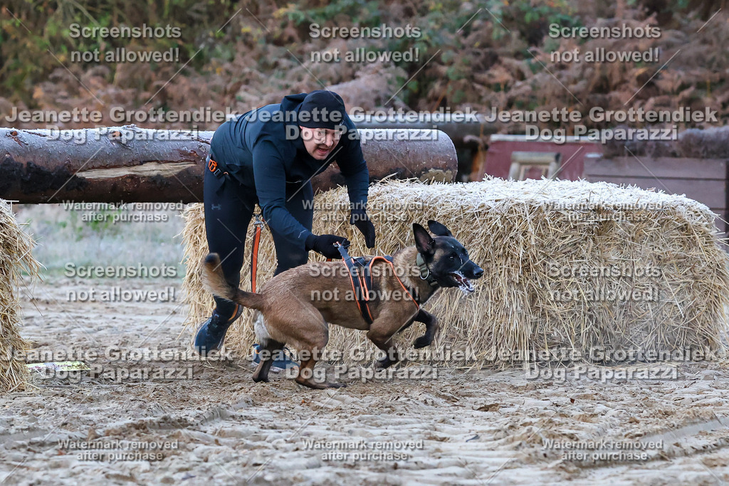Dog Paparazzi - Strongdog 10-25-111 | Dog Paparazzi Jeanette Grottendiek Fotografie & Videografie - Realisiert mit Pictrs.com