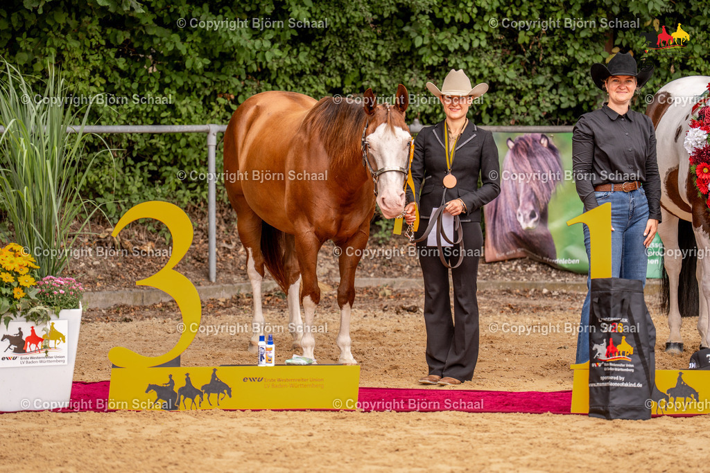 LMS06797 | BS-foto