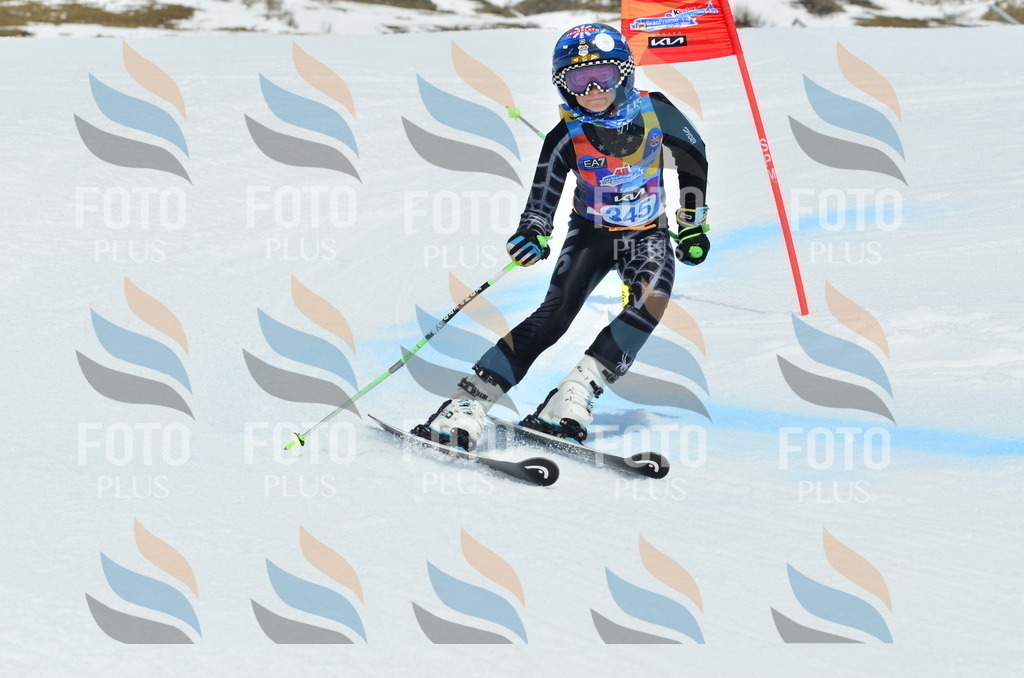 _ELE2615 | holidayphoto