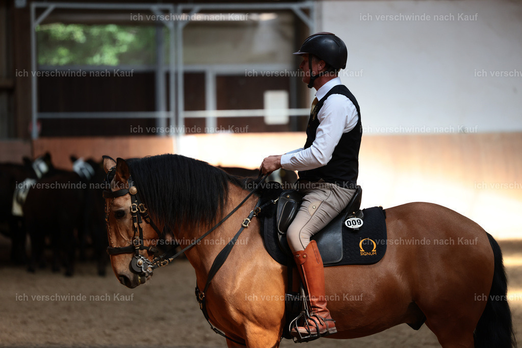 Masterclass_stoibphotography_C2_L7090.JPG | working equitationturnier fotograf videograf stoibphotography marixx film working equitation deutschland reitsport turnierfotografie eventfotografie equestrian events