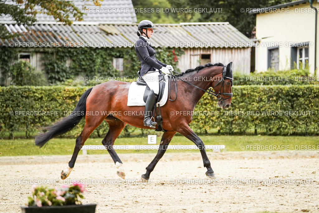 DSC07449 | Pferdegrafie