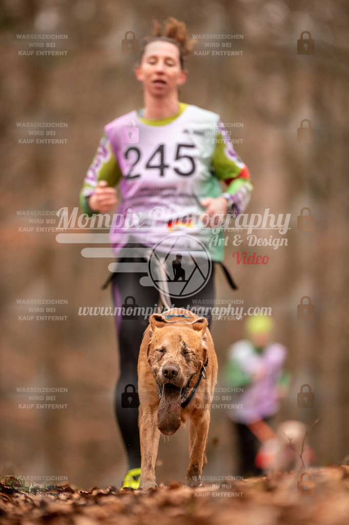 AKM_ST_2023_Son_Run-81 | mompixphotography