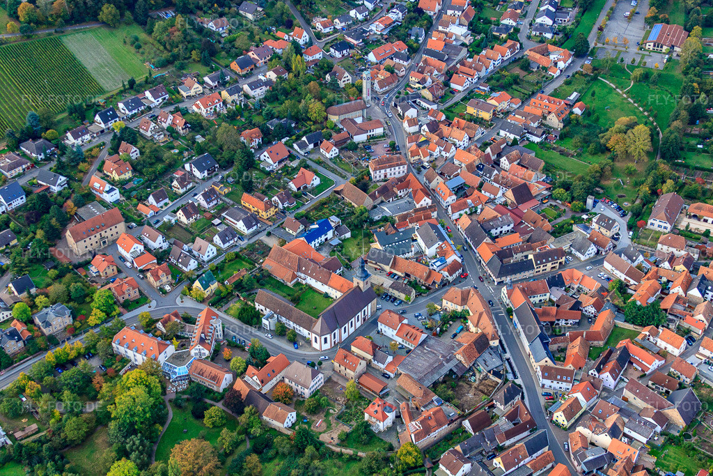 Luftbild: Stiftskirche in Klingenmünster im Bundesland Rheinland-Pfalz in Deutschland. Foto: IMG_22398.jpg vom 15.10.2009 durch Werner Riehm/FLY-FOTO.de