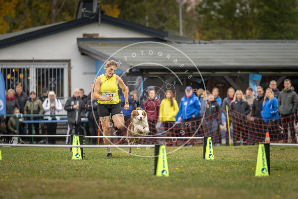 Pfotenfotografie_DV3A3034 | Hundefotografie, Tierfotograf, Pfotenfotografie, Fotoshooting Hund, Hunde Portrait, Hundesport, Hundeportraits, Heideshooting, Hunde, Sportfotograf, Hundefotograf, Turnierhundsport, THS,  - Realisiert mit Pictrs.com