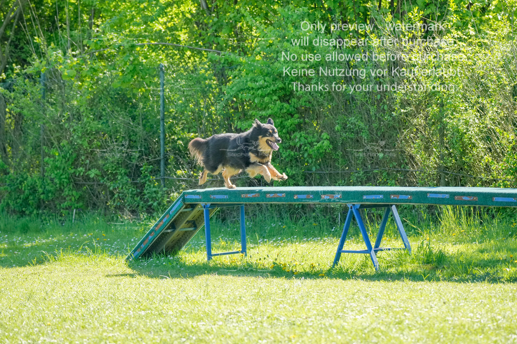Sa_VK3_03-29 | stephaniefillaphotographie - Realisiert mit Pictrs.com