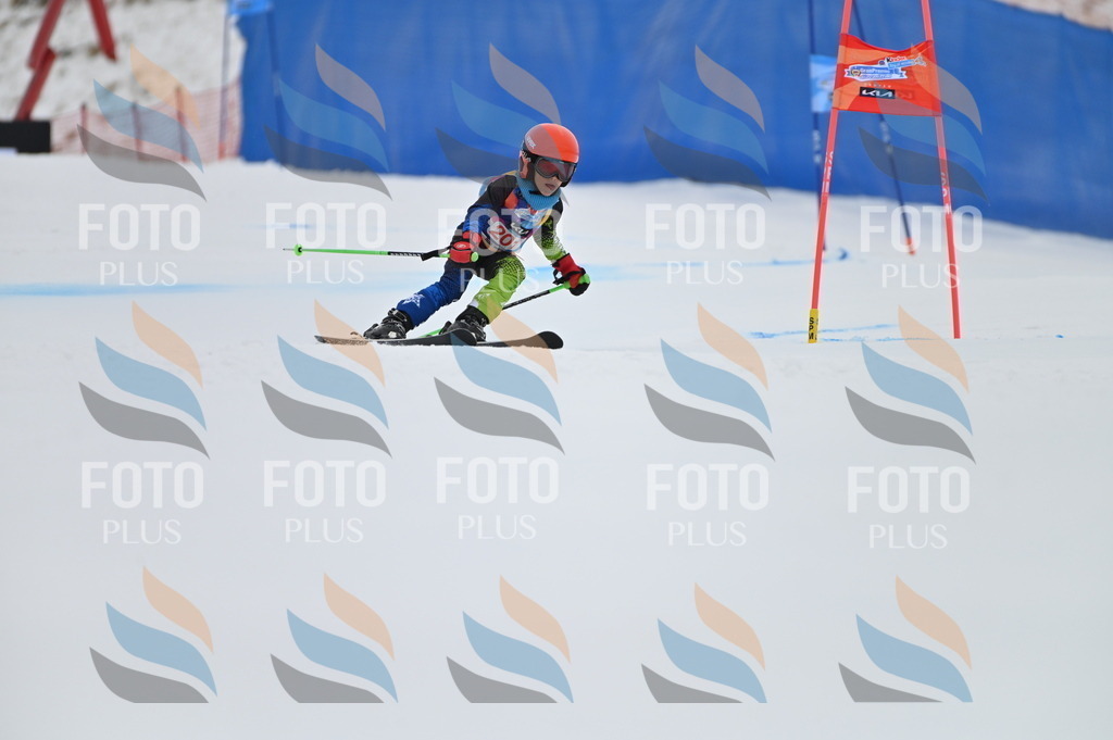 BGV_1917 | holidayphoto