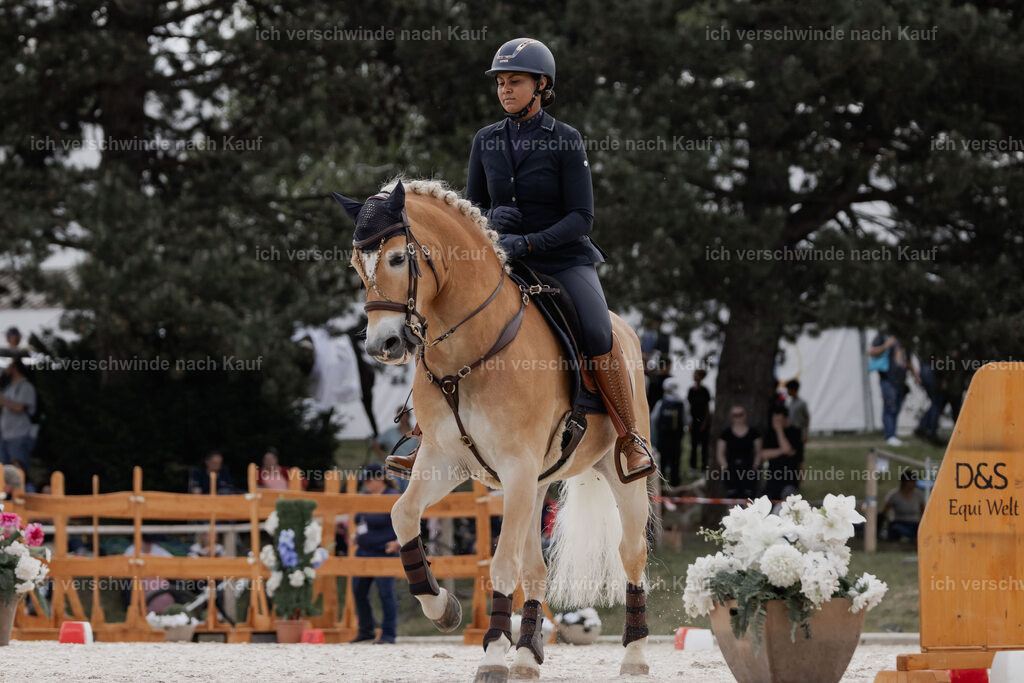 WE_ST_Stoib_308_PI2025_980 | Pferd International München 2025