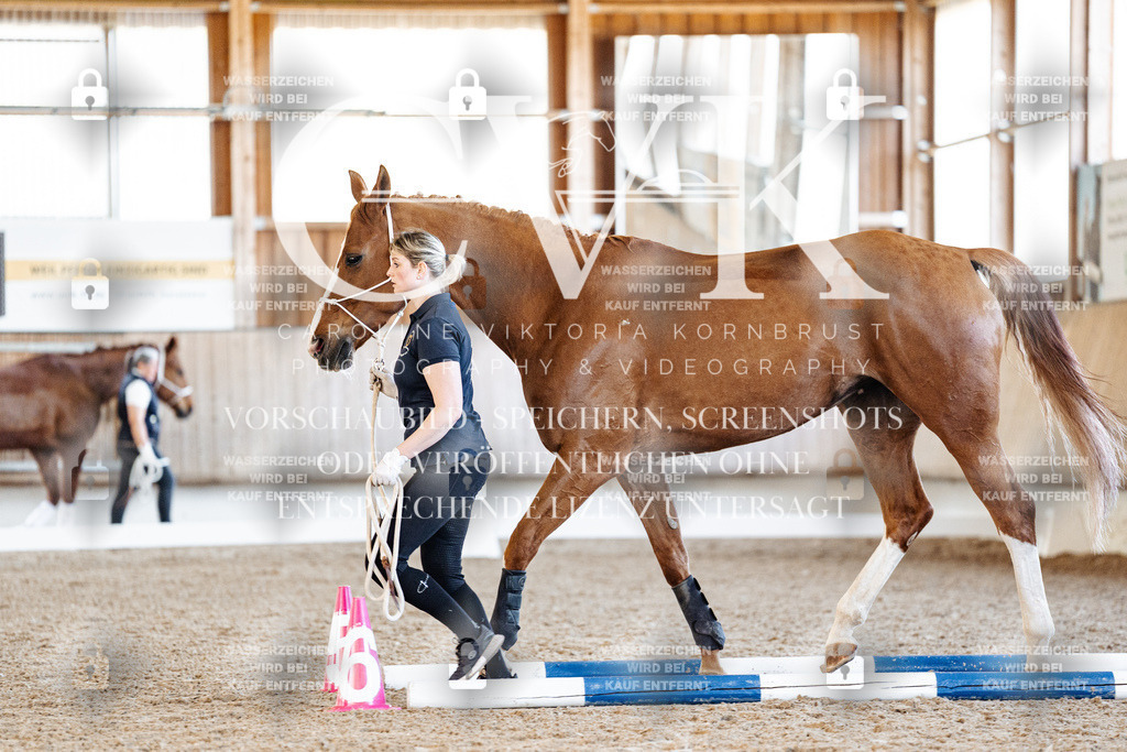 CK906061 | Turnierfotografie Pferdefotografie Trier Rheinland-Pfalz Pferdesport Reitsport Tierfotografie Sportfotografie Pferdevideo Pferdevideografie Equestrianvideography equestrianphotography  - Realisiert mit Pictrs.com
