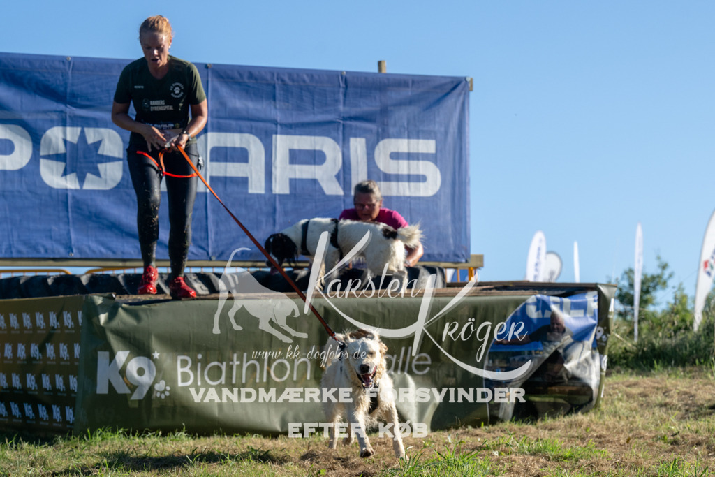 0843_ZZ94772 | kk-dogfotos