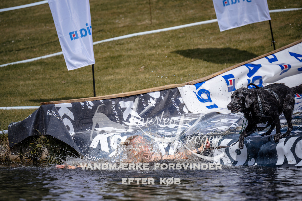 _ZZ939310949 | kk-dogfotos