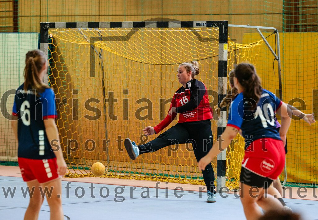 2023-10-14_066_SpVgg_Altenerding_gegen_HSG_Freising_Neufahrn_Damen | Erding, Deutschland, 14.10.2023:
Handball, Bezirksliga Frauen Altbayern 2023 / 2024, 3. Spieltag, SpVgg Altenerding II gegen HSG Freising-Neufahrn II, Endergebnis: 23:28

Martina Martin (HSG Freising-Neufahrn, #6), Torfrau Hanna Knecht (HSG Freising-Neufahrn, #16), Esther Schmid (HSG Freising-Neufahrn, #10)

Foto: Christian Riedel / fotografie-riedel.net