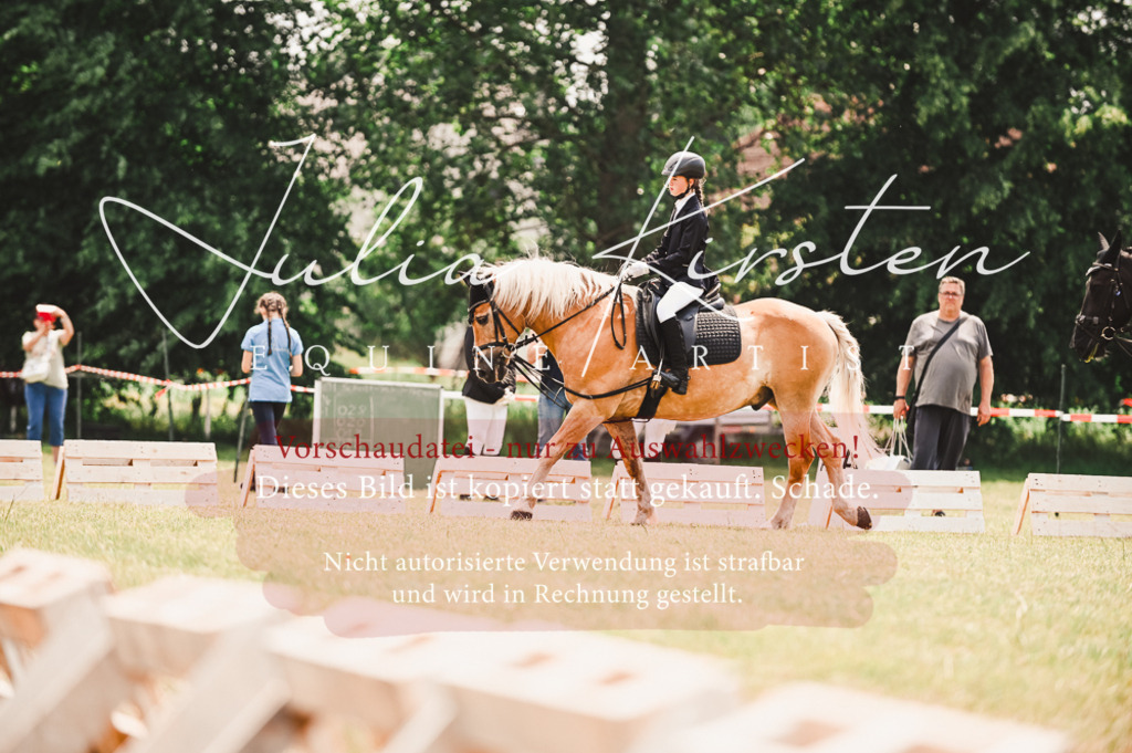 DSC_6224 | Pferde- und Turnierfotografie in Westsachsen. Pferdeportraits, Auftragszeichnungen und intuitive Kunst.