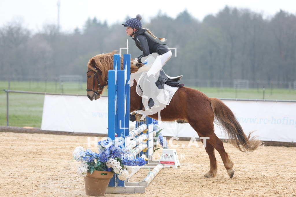 0P6A8702 | Willkommen bei Brunnmayr - Design & Fotografie – Ihrem Spezialisten für Reitturniere und Pferdeveranstaltungen in Oberösterreich, Salzburg und Bayern! Seit über 17 Jahren sind wir leidenschaftlich dabei.