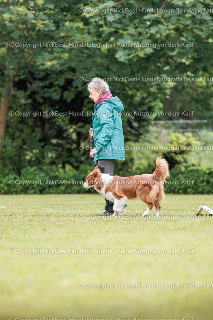 RO-Blumenthal-2026-Nickbest-Hundefotografie-5556 | Dein Hund! Dein Moment! Deine Erinnerungen! Hundefotografie in Bremen Blumenthal. Ich fange die besonderen Momente deines Vierbeiners ein – ob Indoor mit Blitzanlage oder in der freien Natur. Sicher dir dein Moment und dein Termin für eure Erinnerungen.