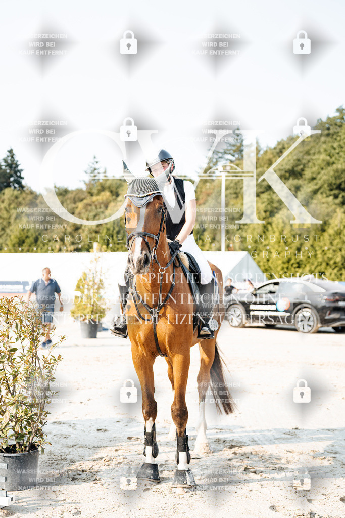 CK704453 | Turnierfotografie Pferdefotografie Trier Rheinland-Pfalz Pferdesport Reitsport Tierfotografie Sportfotografie Pferdevideo Pferdevideografie Equestrianvideography equestrianphotography  - Realisiert mit Pictrs.com