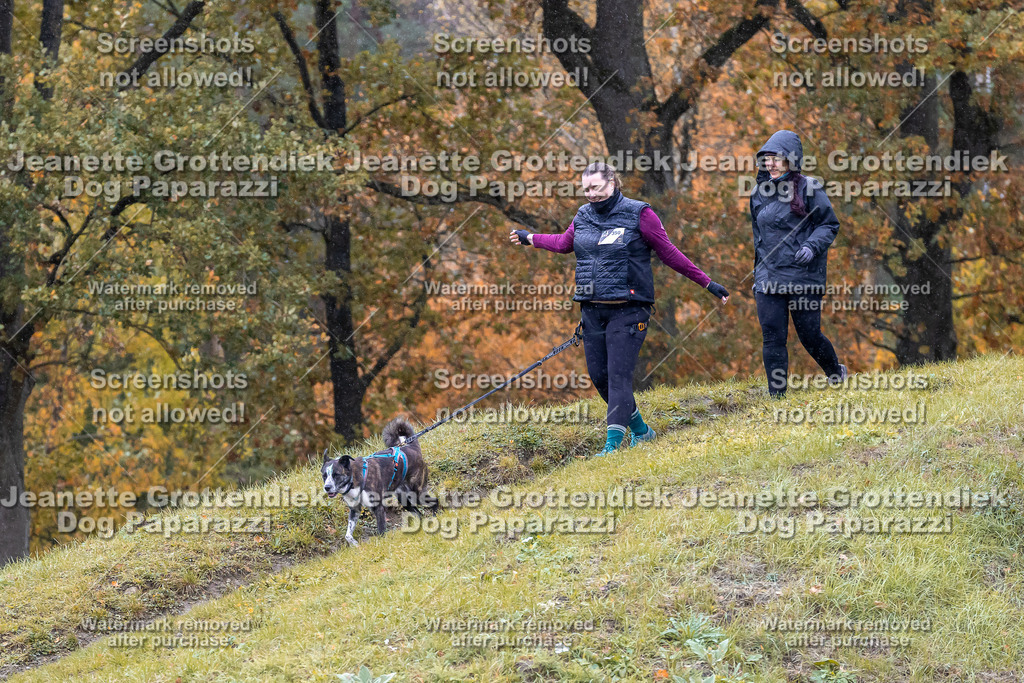 Dog Paparazzi - SD CaniX Championship 2025-770 | Dog Paparazzi Jeanette Grottendiek Fotografie & Videografie - Realisiert mit Pictrs.com