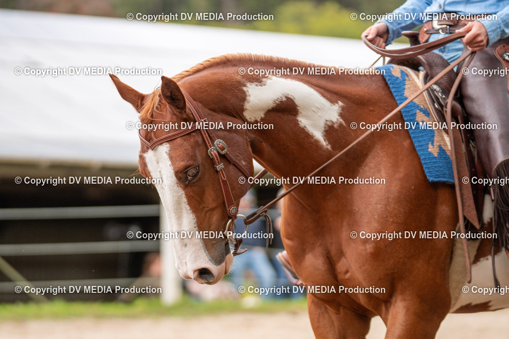 Balingen Tag 2-812 | dv-media-shop - Realisiert mit Pictrs.com