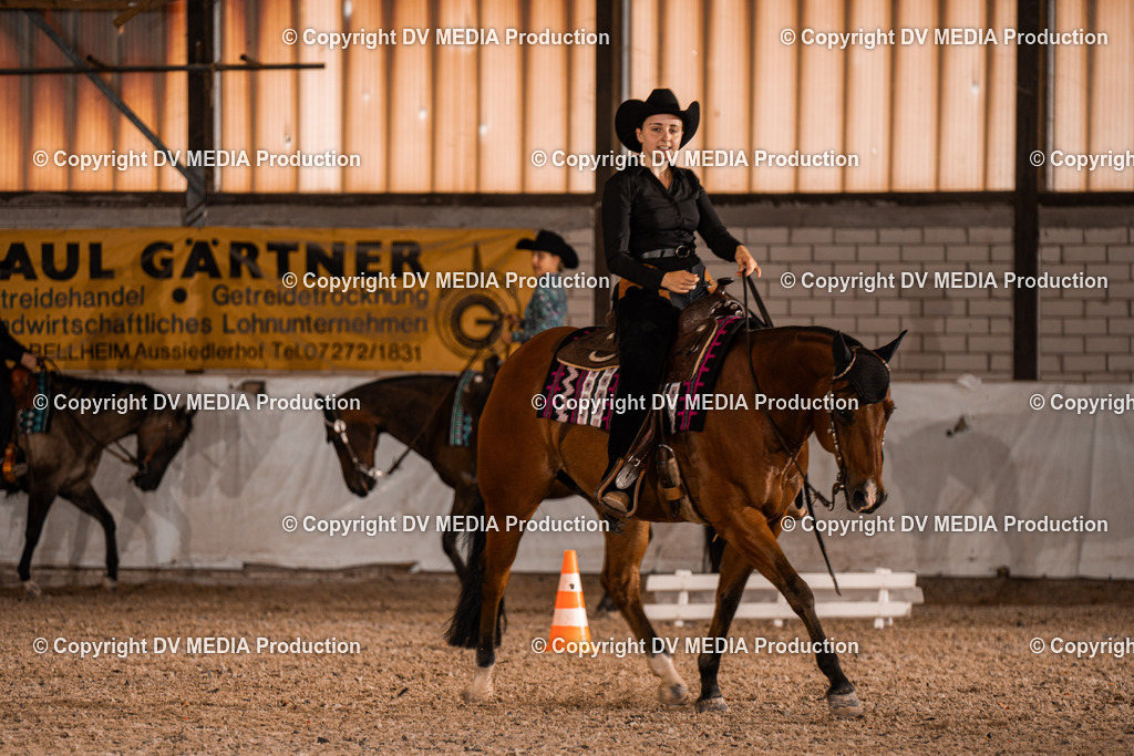 ZH200700 | dv-media-shop - Realisiert mit Pictrs.com