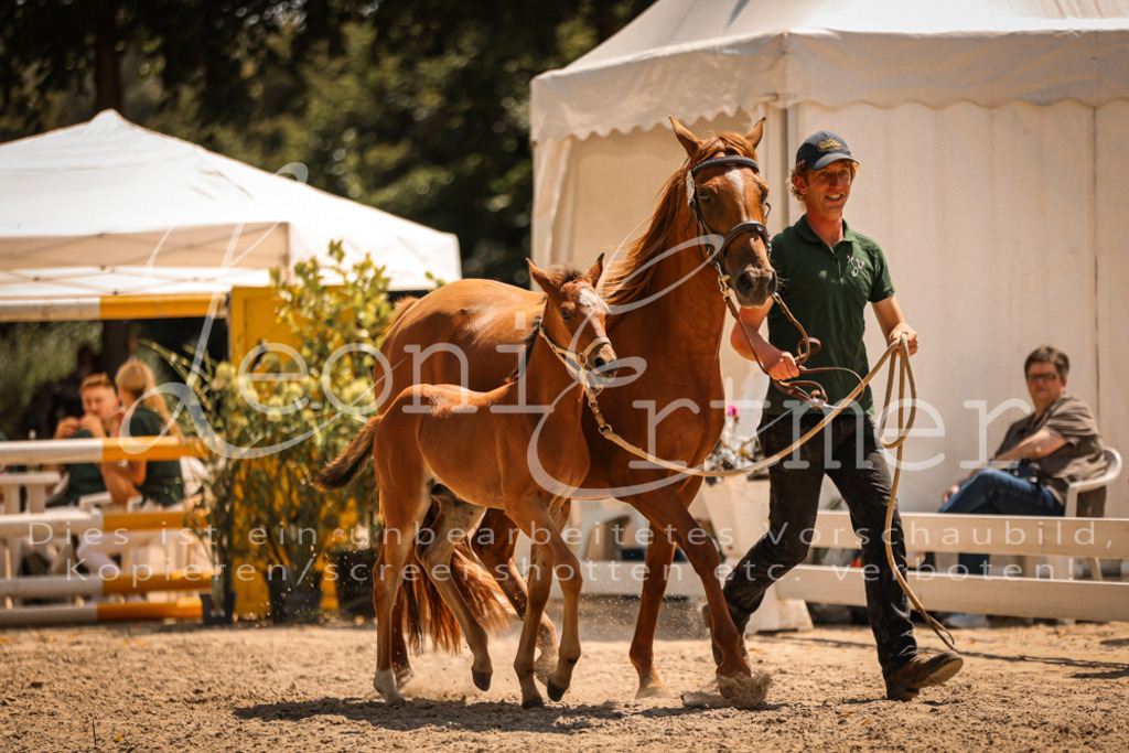 03.DoAB00077 | Leoni Ertmer Photography - Realisiert mit Pictrs.com