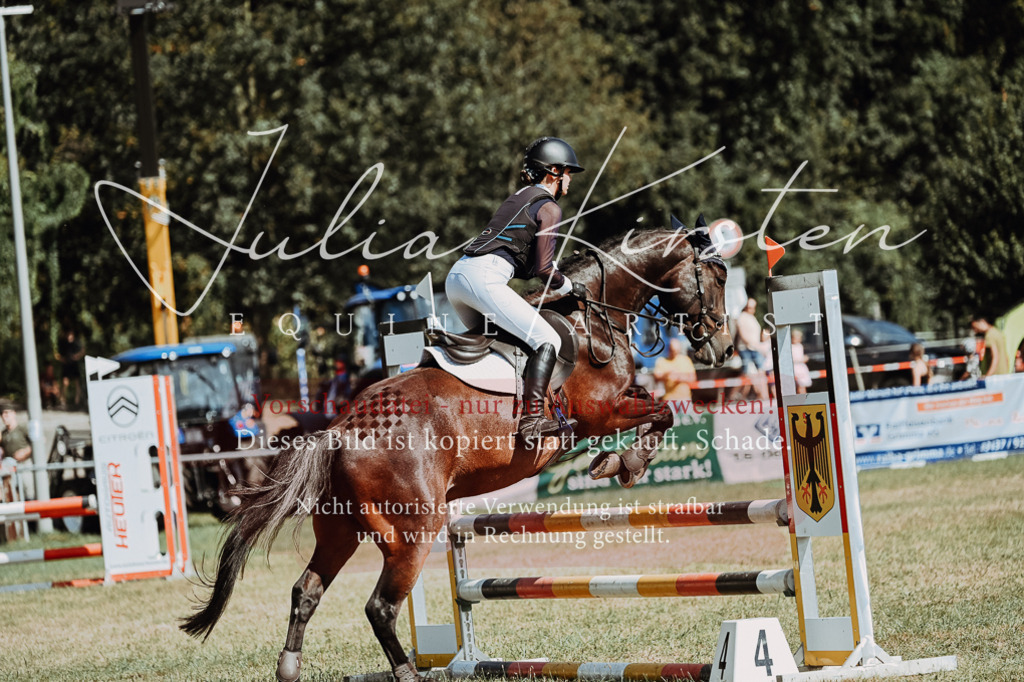 DSC_9498 | Pferde- und Turnierfotografie in Westsachsen. Pferdeportraits, Auftragszeichnungen und intuitive Kunst.