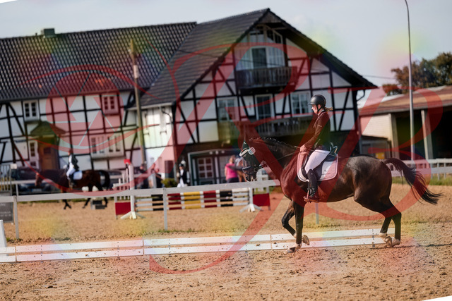 2026_10_03_Siefer-Hof_132124_Z63_82590515 | Professionelle Reitsport-, Turnier- und Eventfotografie von Robert Broda. Galerien mit ausgewählten und bearbeiteten Bildern direkt online ansehen und bestellen.