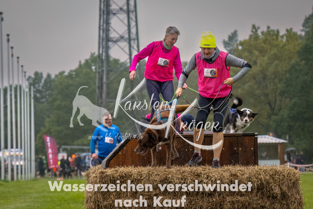 1005--36 | kk-dogfotos