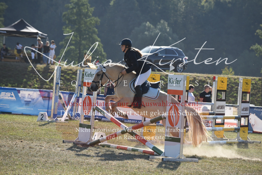 DSC_5842 | Pferde- und Turnierfotografie in Westsachsen. Pferdeportraits, Auftragszeichnungen und intuitive Kunst.