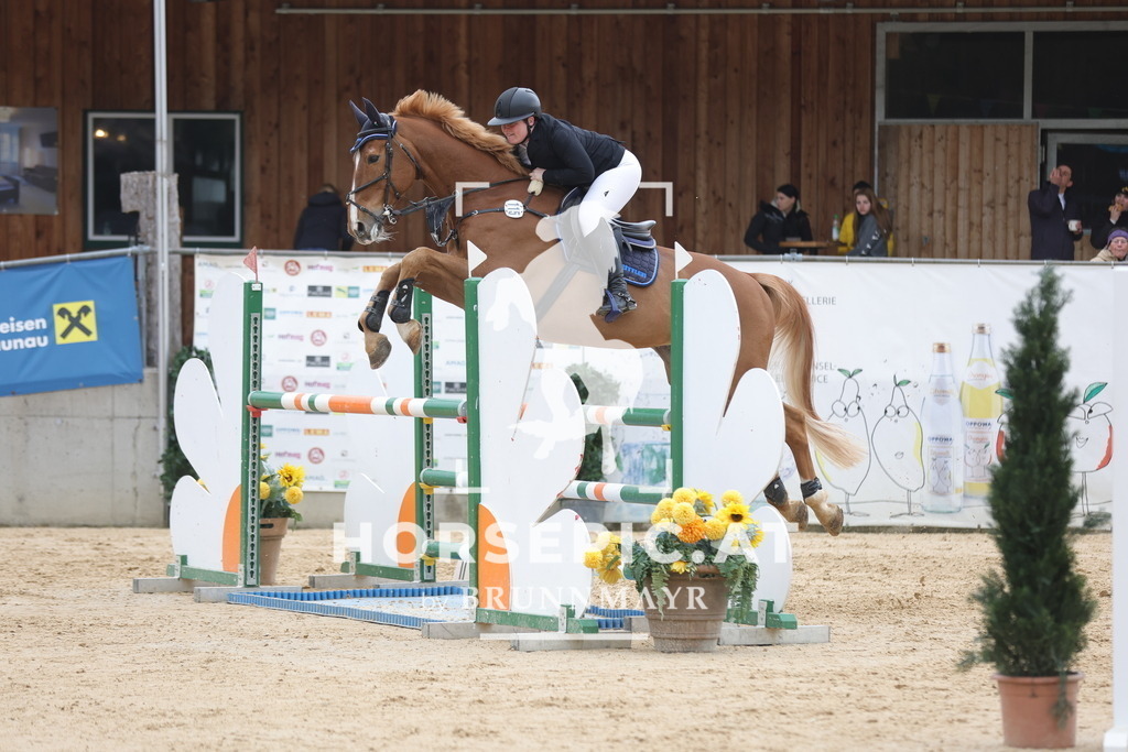 0P6A4748 | Willkommen bei Brunnmayr - Design & Fotografie – Ihrem Spezialisten für Reitturniere und Pferdeveranstaltungen in Oberösterreich, Salzburg und Bayern! Seit über 17 Jahren sind wir leidenschaftlich dabei.