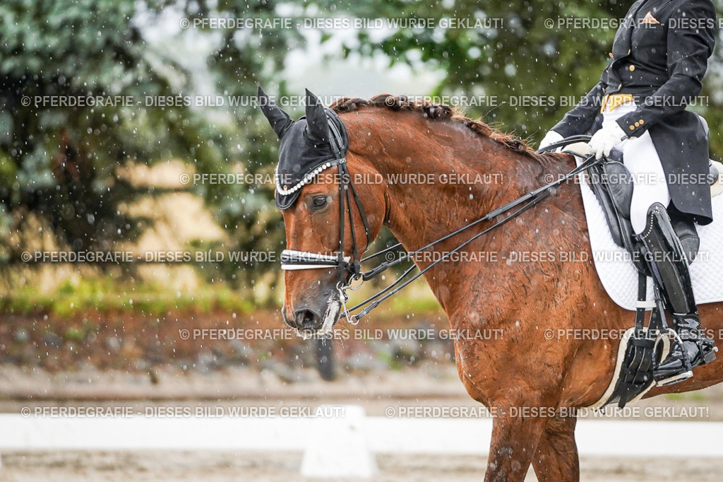 DSC09074 | Pferdegrafie