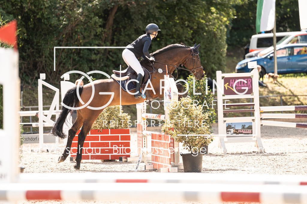 DSC02191 | Carolin Gieschke