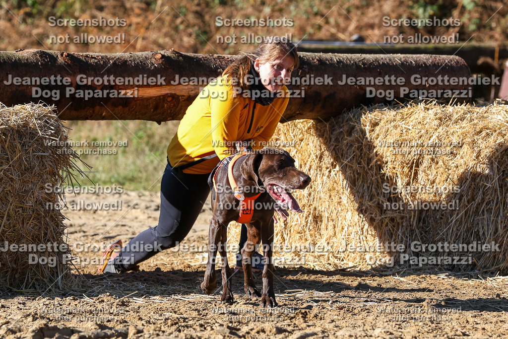 Dog Paparazzi - Strongdog 10-25-2289 | Dog Paparazzi Jeanette Grottendiek Fotografie & Videografie - Realisiert mit Pictrs.com