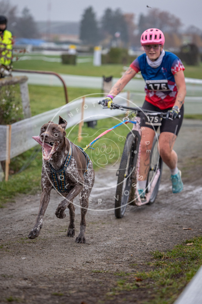 CaniXpix_0L8A0887 | Hundefotografie, Tierfotograf, Pfotenfotografie, Fotoshooting Hund, Hunde Portrait, Hundesport, Hundeportraits, Heideshooting, Hunde, Sportfotograf, Hundefotograf, Turnierhundsport, THS,  - Realisiert mit Pictrs.com
