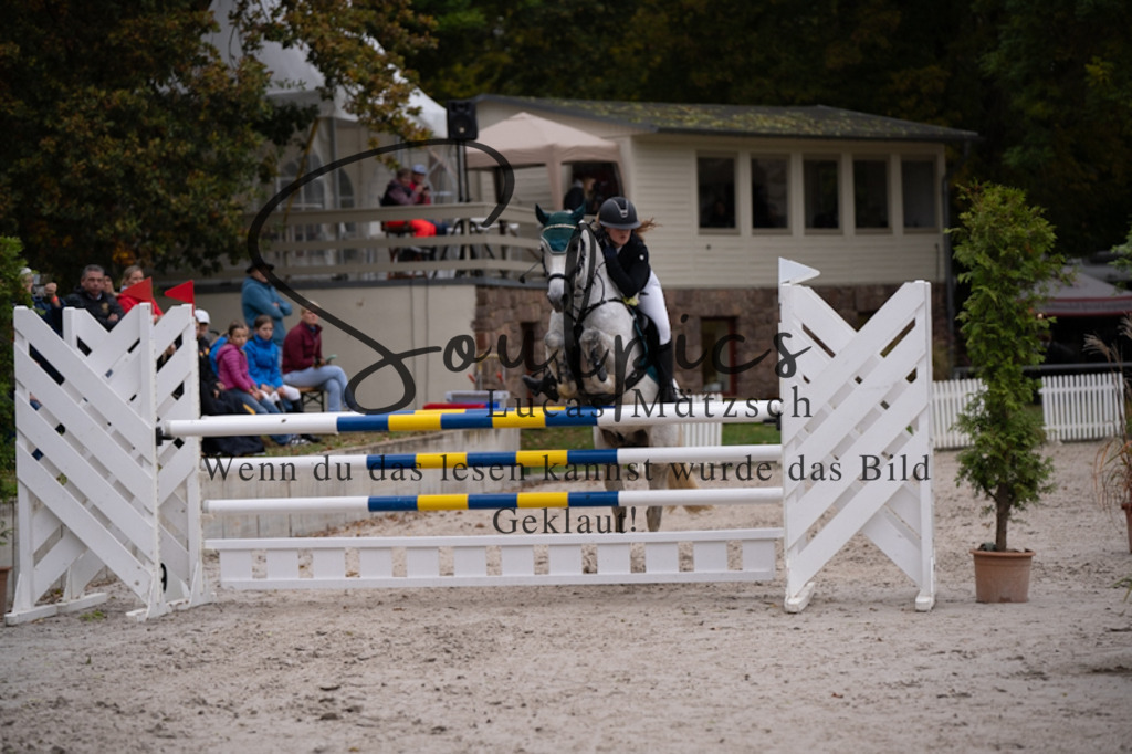 A7V09148 | Pferdefotograf